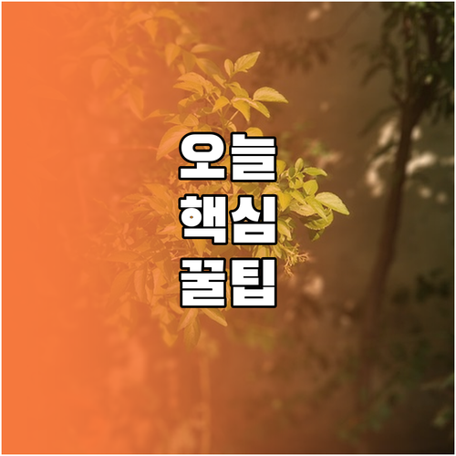 실내에서 즐기는 서울 데이트, 당신의 취향을 찾아보세요