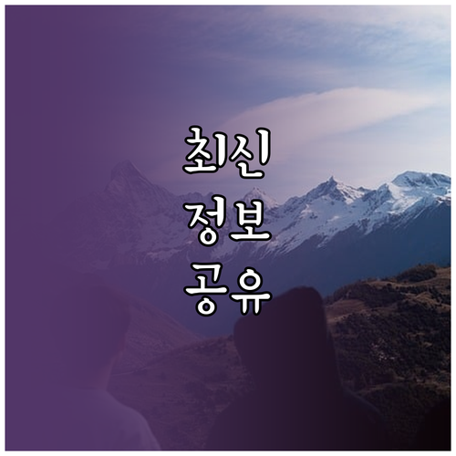 ESTA 거절 후 미국 입국? '이것' 모르면 영영 못 갑니다