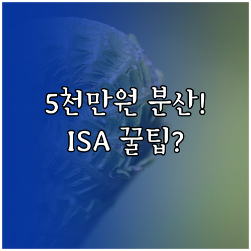 5천만 원 분산 예치 제2금융권 ISA 활용 고수익 투자법