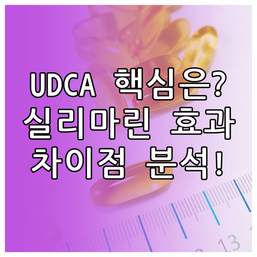 UDCA와 실리마린의 차이점 작용 기전 및 효과 비교