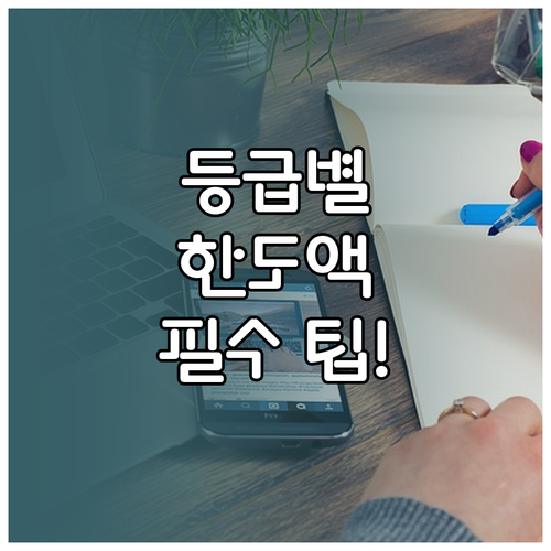 등급별 시설급여 재가급여 이용 원칙과 월 한도액 실질적 활용