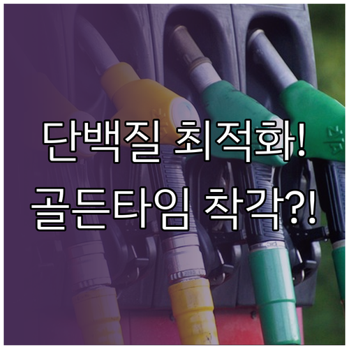 운동 유형별 단백질 섭취 전략과 골든타임 재해석