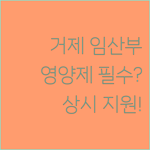 2025 거제시 모자보건 임산부 영양제 상시 지원 상세 정보