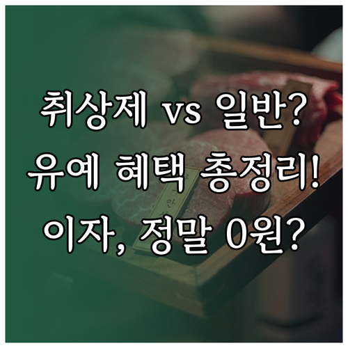 취업 후 상환 대출 일반 대출 유예 혜택 비교와 이자 발생 여부