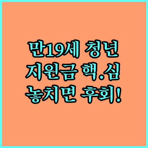 2025년 만 19세 청년 문화예술패스 지원 대상 혜택 총정리