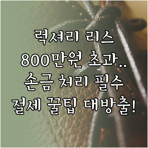 럭셔리 리스 비용 손금 산입을 위한 800만원/1500만원 한도 관리법