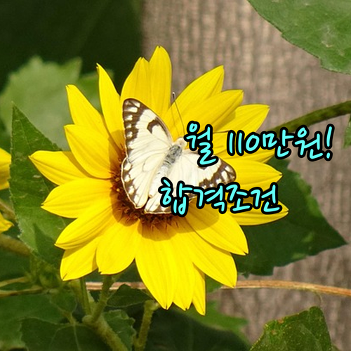 청년농업인 영농정착금 2025 월 110만원 지원 대상과 필수 조건