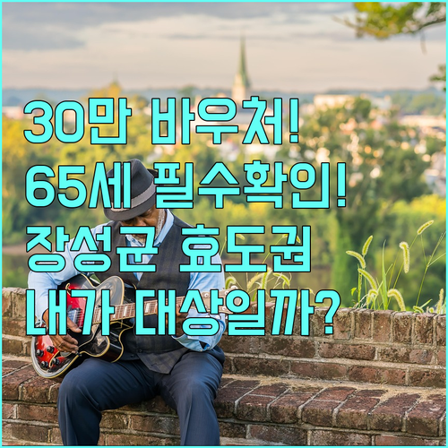 2025 장성군 효도권 65세 이상 30만원 바우처 자동 지급! 나는 대상일까?