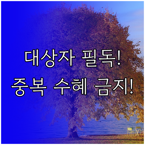 노인맞춤돌봄서비스 대상자 선정 기준과 중복 수혜 방지 원칙
