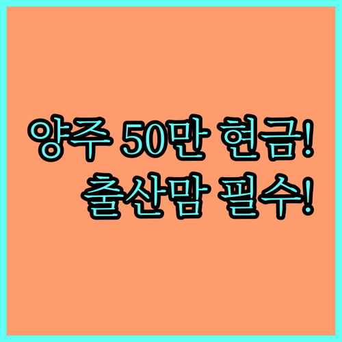2025 출산 가정 양주시 산후조리비 50만원 현금 지급 상세 안내