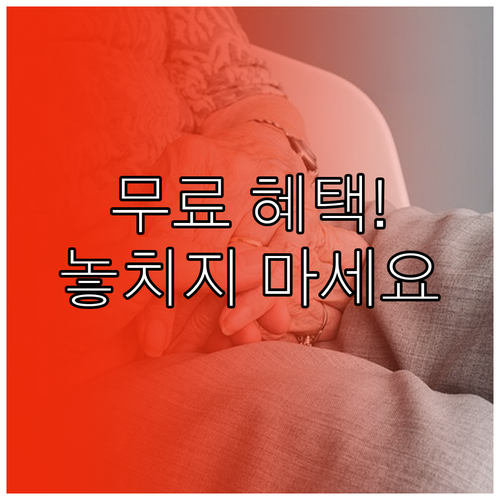 수강료 걱정 없는 시니어 평생교육 무료 강좌 혜택 분석