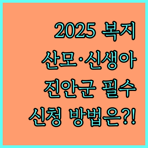 보편적 복지 2025 진안군 산모신생아 관리 보건소 방문 신청 방법