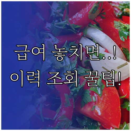고용보험 이력 조회: 실업급여 수급 자격 누락 없이 확인하는 법