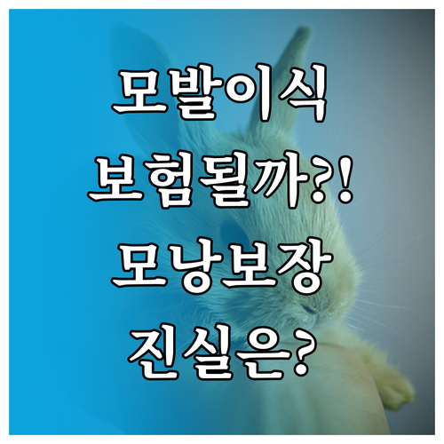 모발이식 건강보험 비급여 적용 여부와 모낭 보장제의 진실