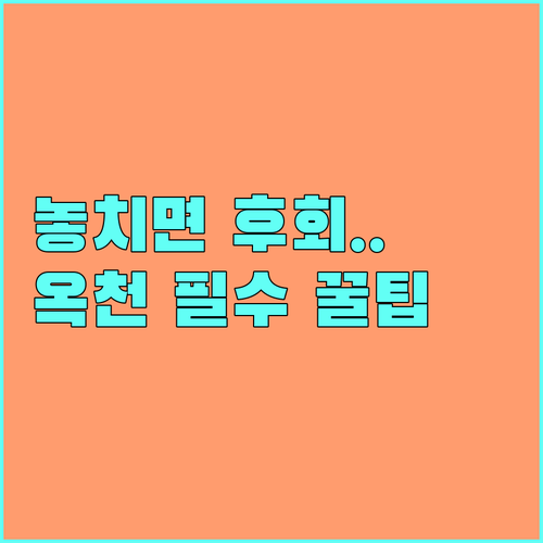 2025 옥천군 청년 전세 대출 이자 지원 사업 정책 핵심 분석