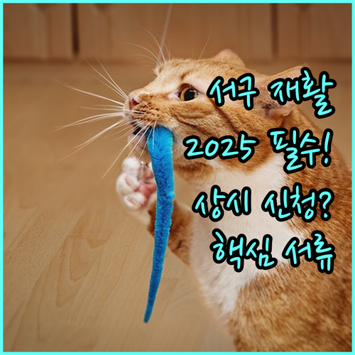 서구 장애인 직업재활 상시 신청 절차와 필수 서류 2025