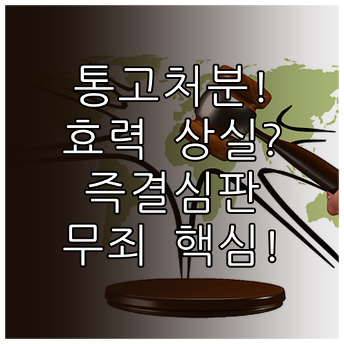 통고처분 효력 상실 유무죄를 다투는 즉결심판 절차