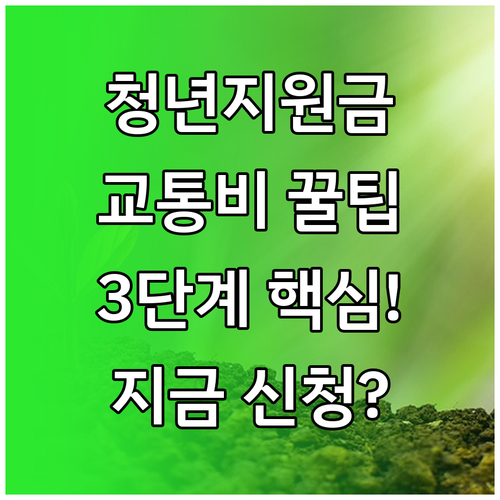 복잡한 청년 교통비 지원금 성공적인 신청을 위한 3단계 실행 전략