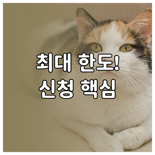 한국장학재단 생활비 대출 자격 한도 신청 절차 총정리