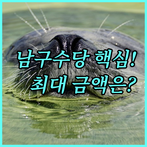2025 울산 남구 명예수당 대상 자격과 금액 차등 지급 기준