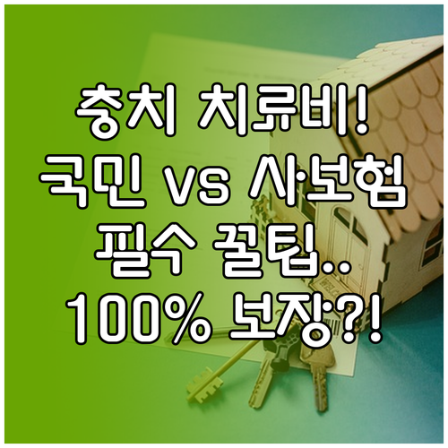 치과 충치 치료 보험 보장 범위 국민건강보험과 사적 치아 보험 비교 분석