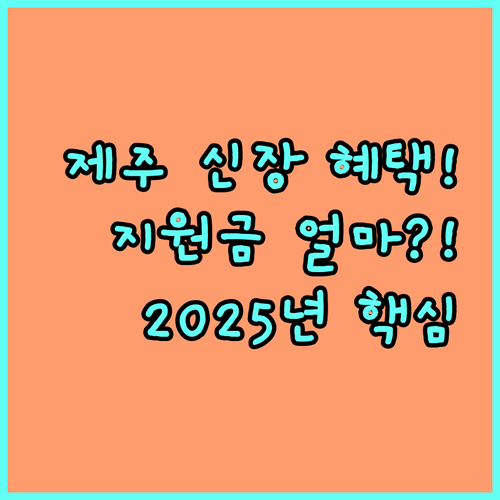2025년 제주 신장장애 의료비 지원 대상 금액 신청 절차 요약