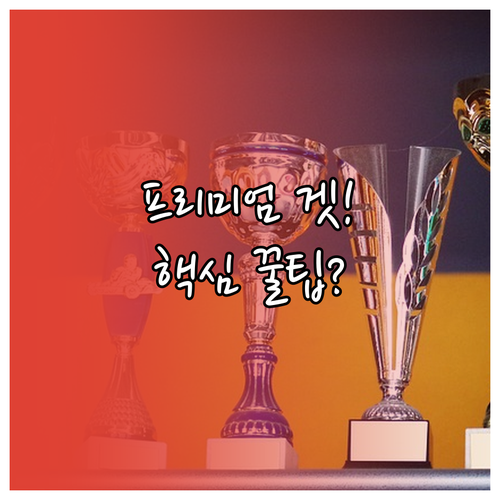 프리미엄 좌석 발권을 위한 마일리지 성공 핵심 원칙
