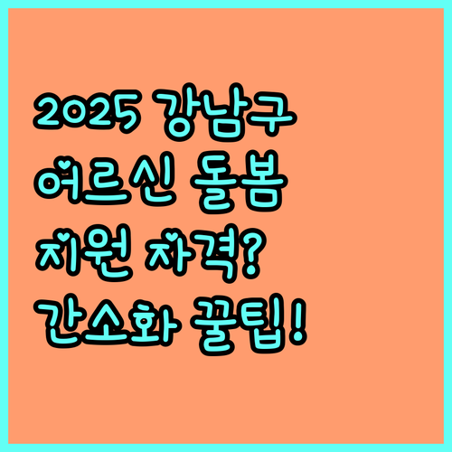 2025 강남구 독거어르신 돌봄 서비스 지원 자격 및 간소화된 신청 절차