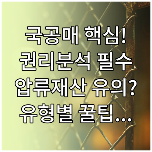 압류재산 국공유재산 공매 유형별 권리 분석 유의점