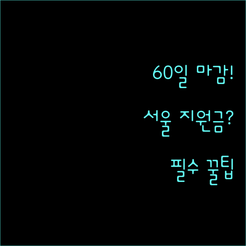 출산 후 60일 이내 신청 2025 서울형 산후조리경비 자격과 방법
