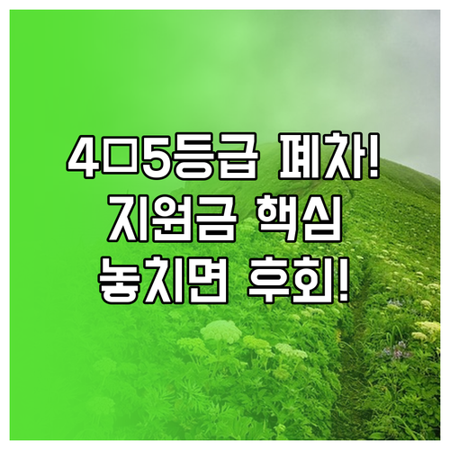 배출가스 4등급 5등급 경유차 조기폐차 지원금 최신 기준