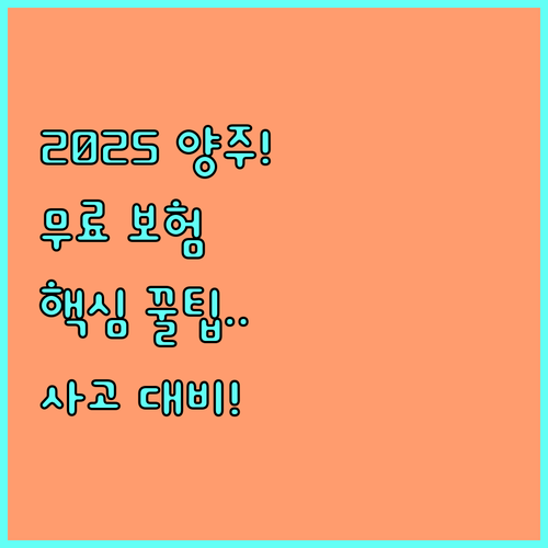 재난 사고 대비 든든한 2025 양주시 생활안전보험 핵심 정리